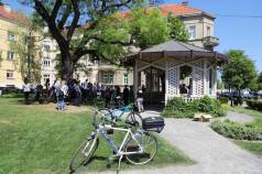 Mini IMG 7788